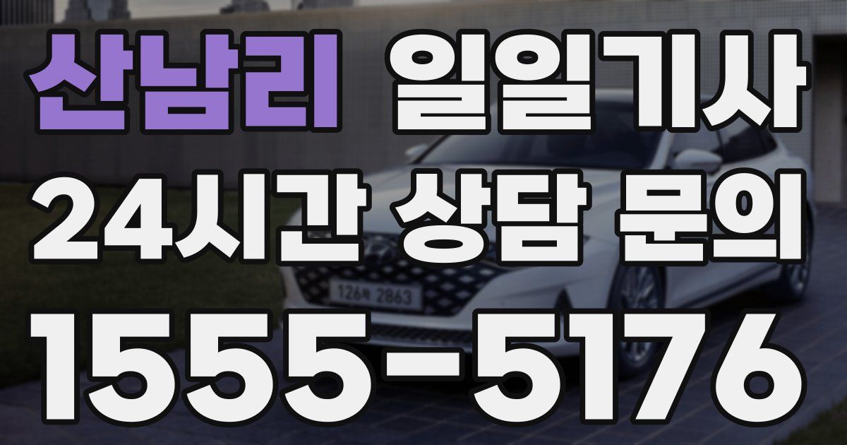 일일대리기사