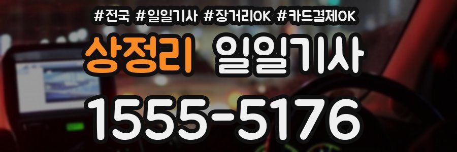 상정리 일일기사