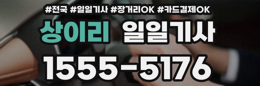 상이리 일일기사