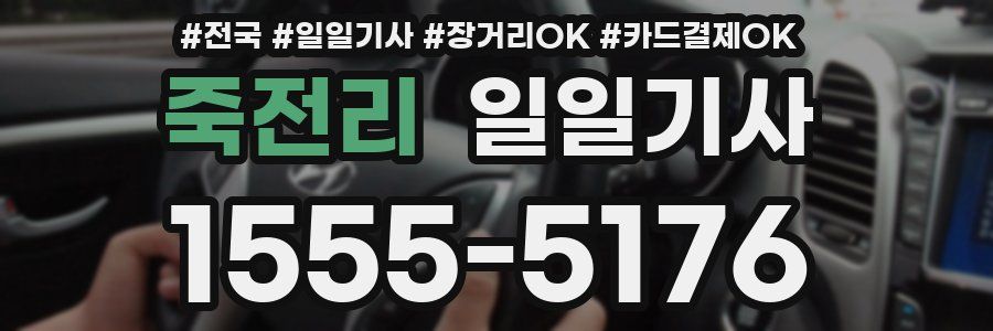 죽전리 일일기사