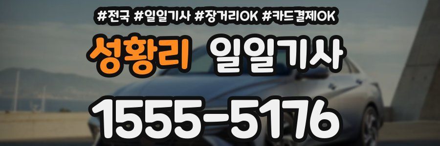 성황리 일일기사