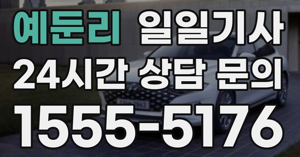 일일대리기사