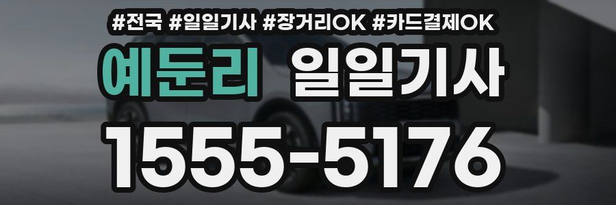 예둔리 일일기사