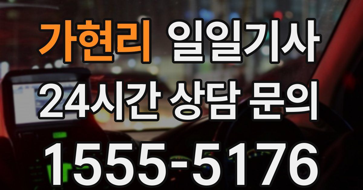 일일대리기사