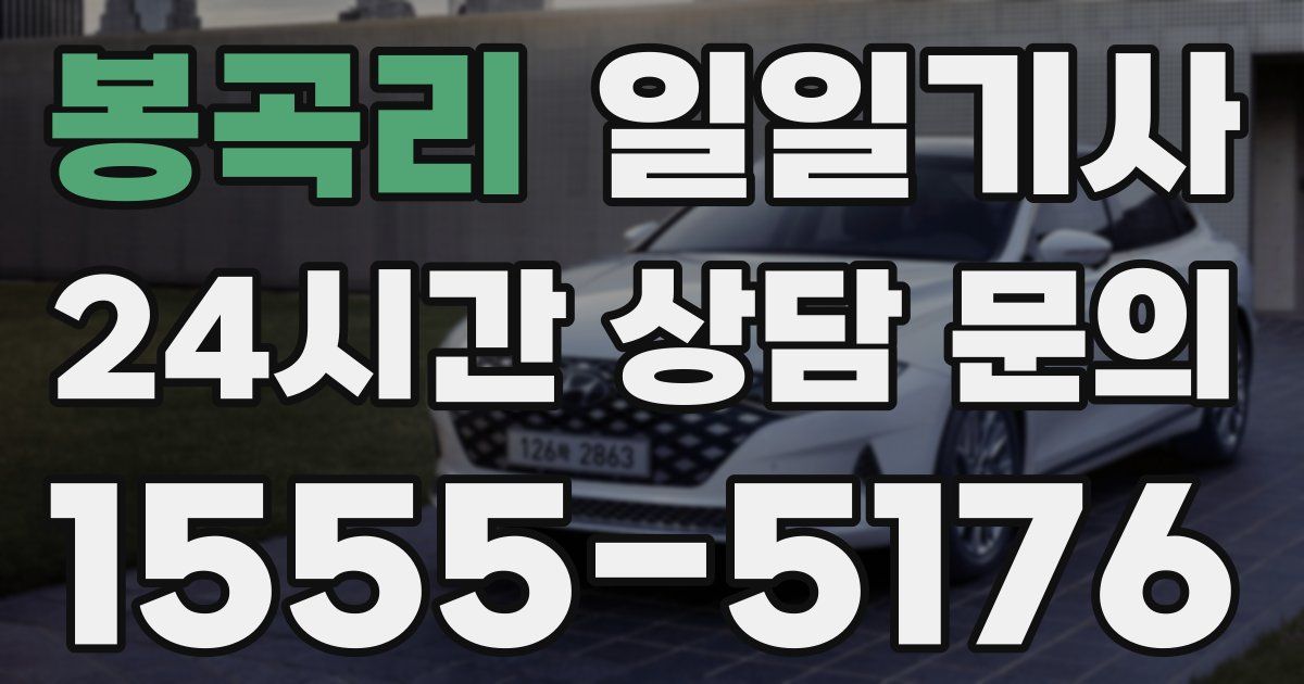 일일대리기사