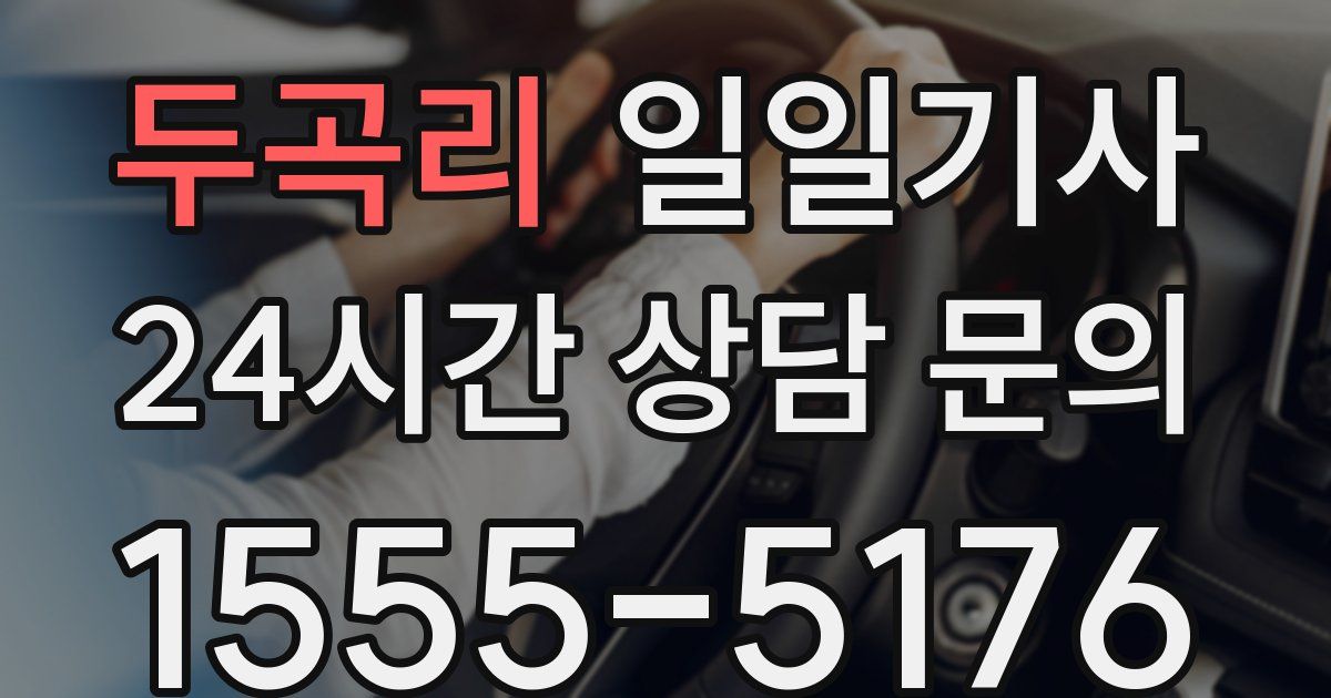 일일대리기사