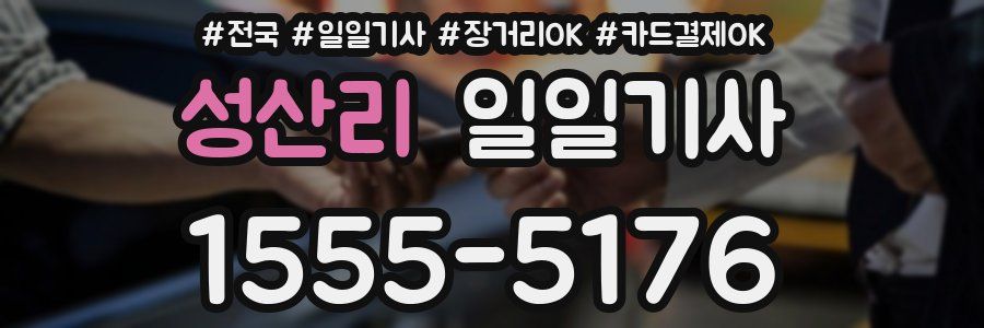 성산리 일일기사