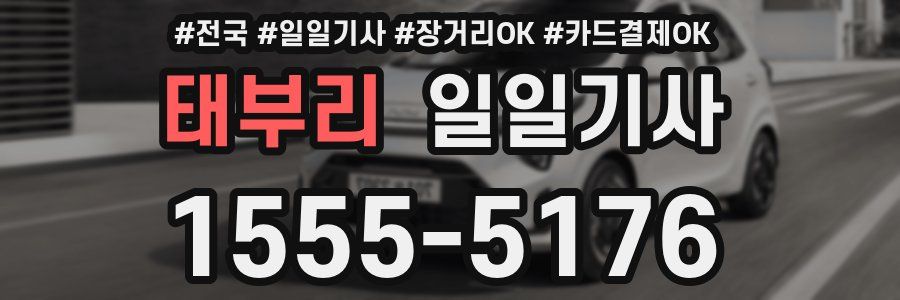 태부리 일일기사