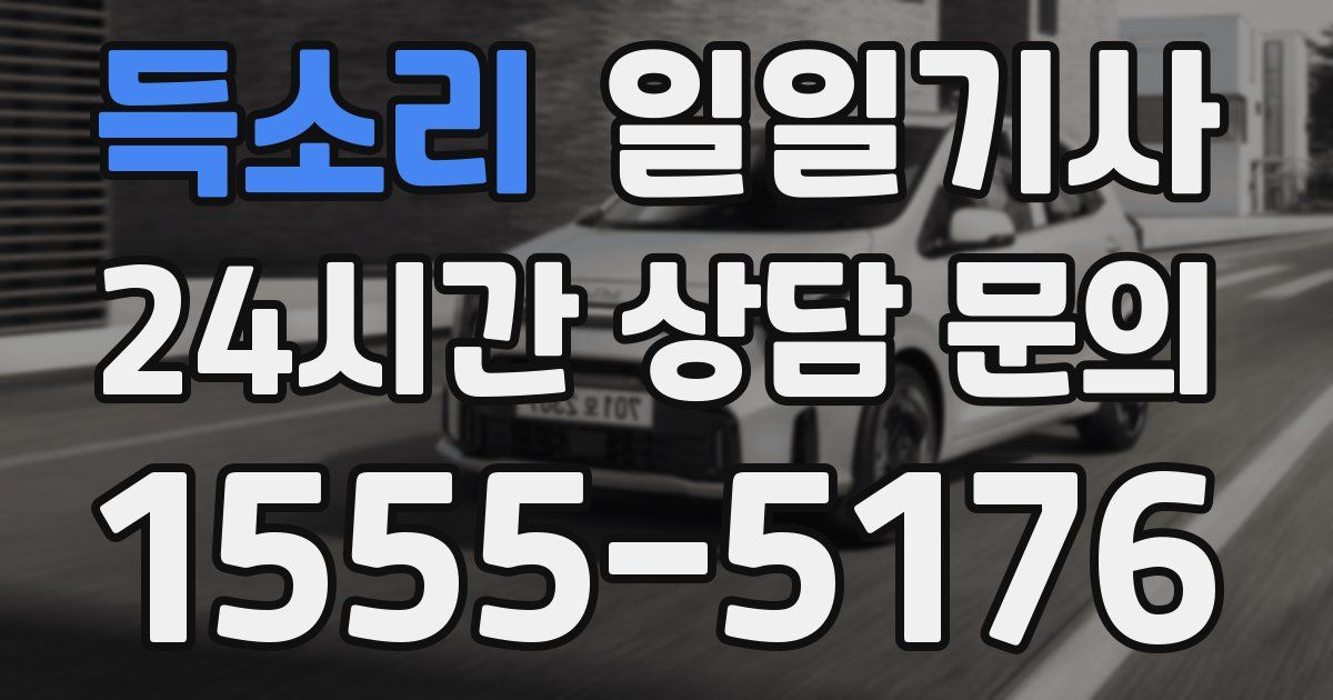 일일대리기사