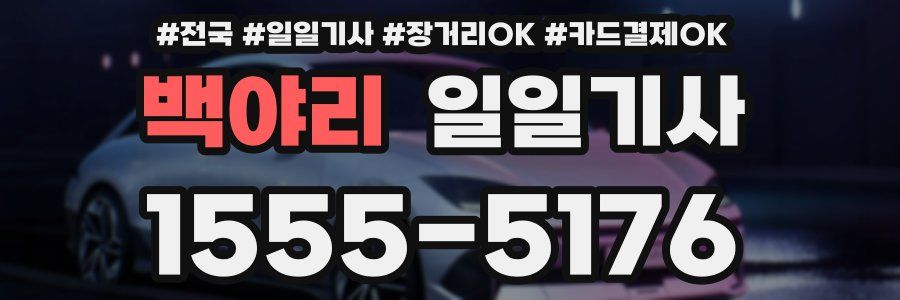 백야리 일일기사