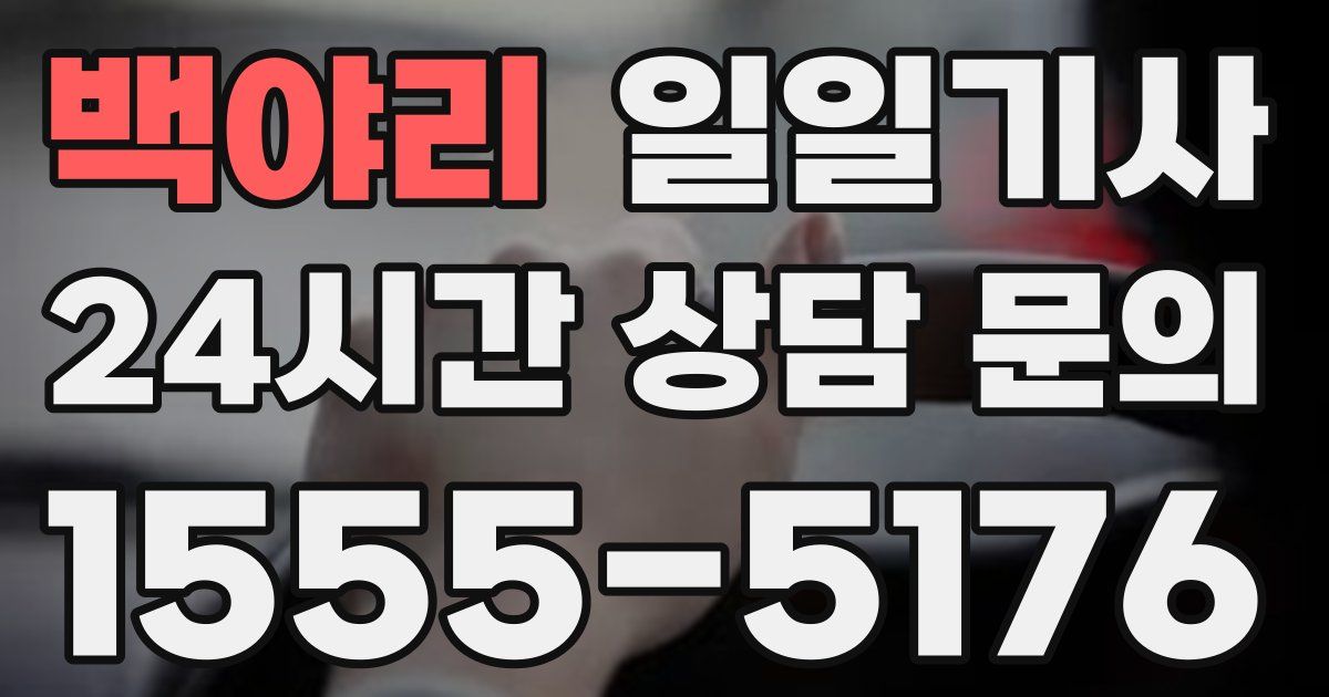 일일대리기사