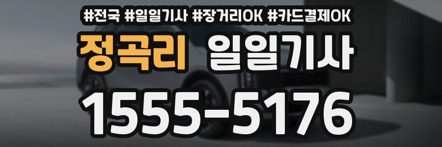 정곡리 일일기사