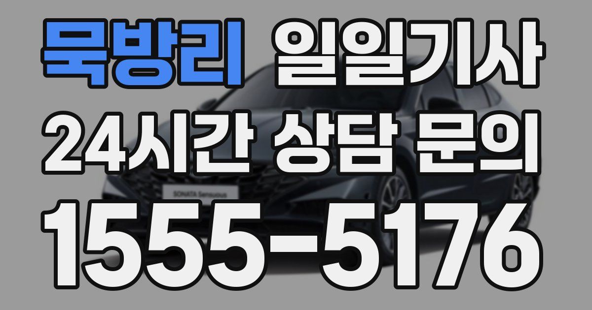 일일대리기사