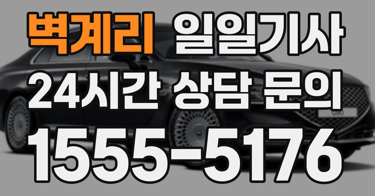 일일대리기사