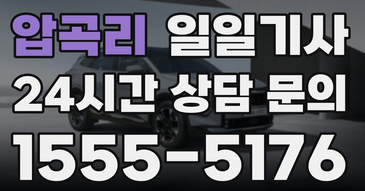 일일대리기사