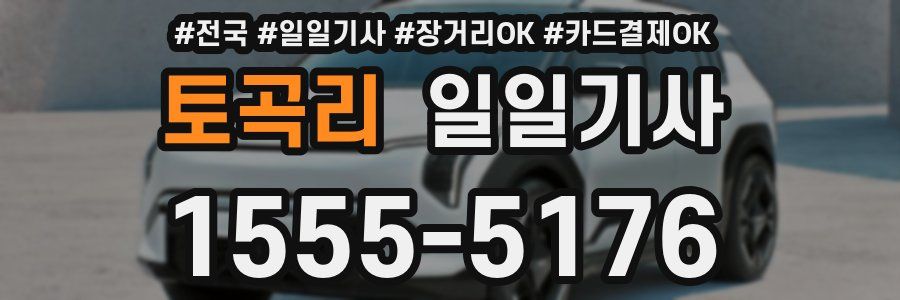 토곡리 일일기사