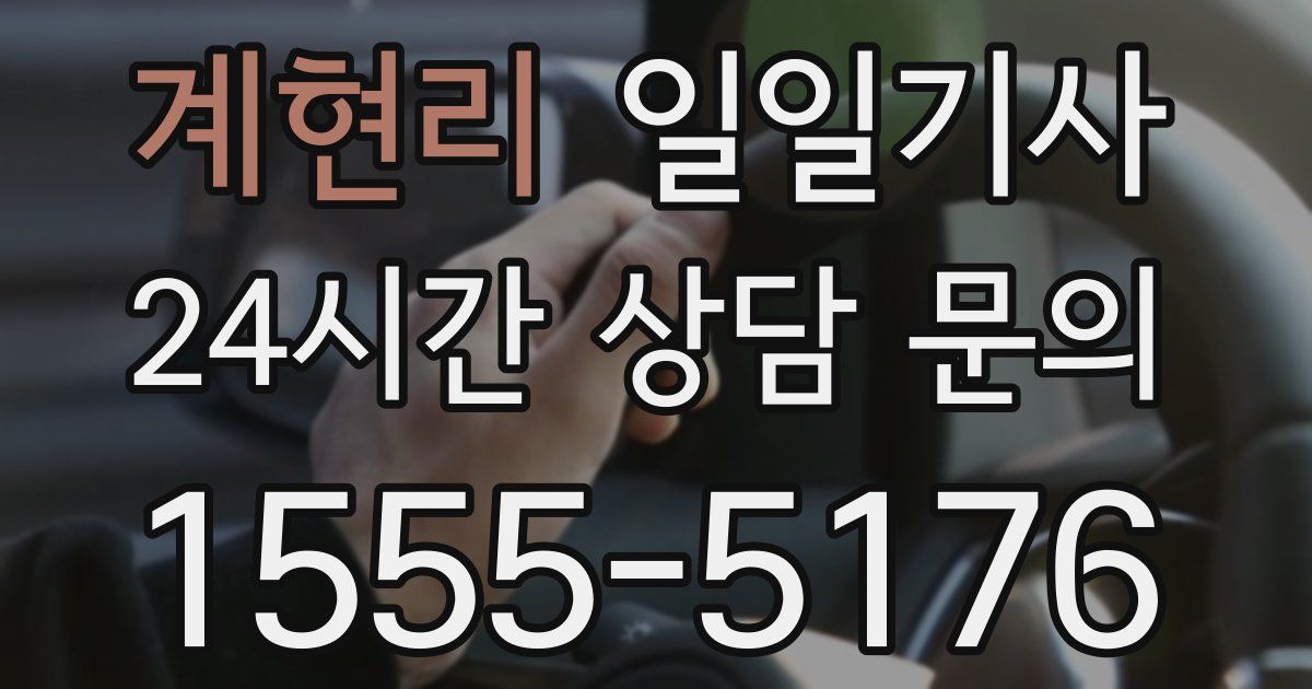 일일대리기사