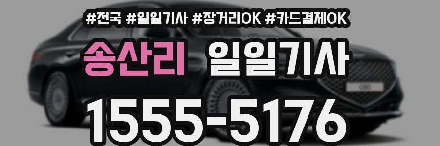 송산리 일일기사