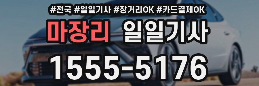 마장리 일일기사