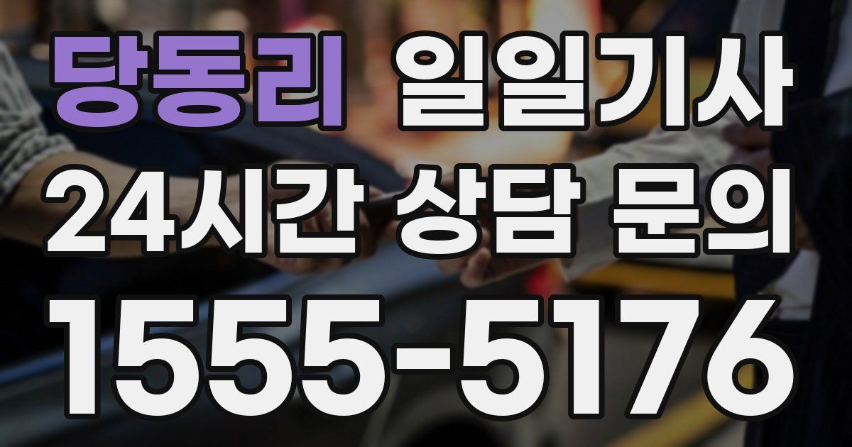 일일대리기사