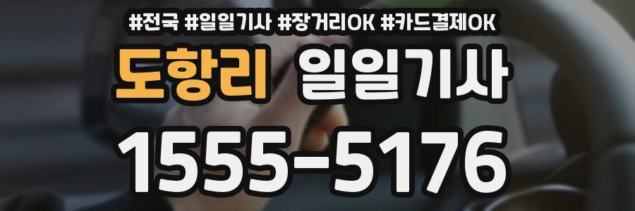 도항리 일일기사