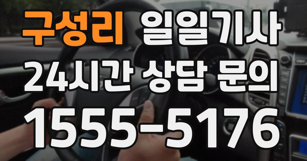 일일대리기사