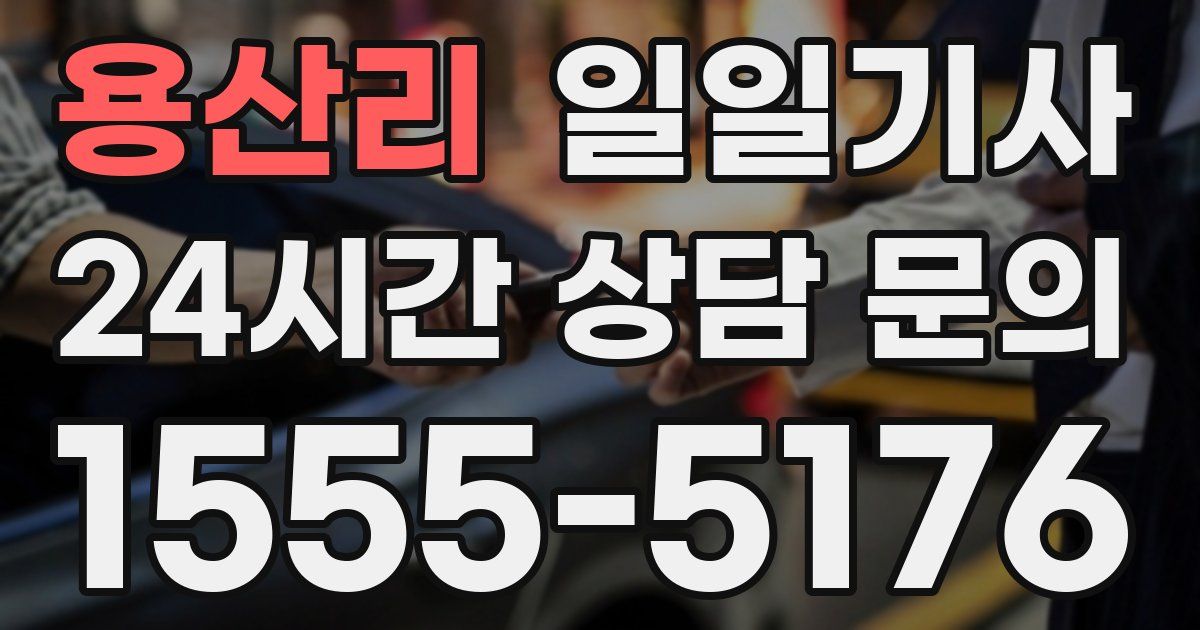 일일대리기사