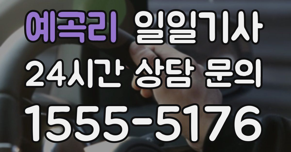 일일대리기사