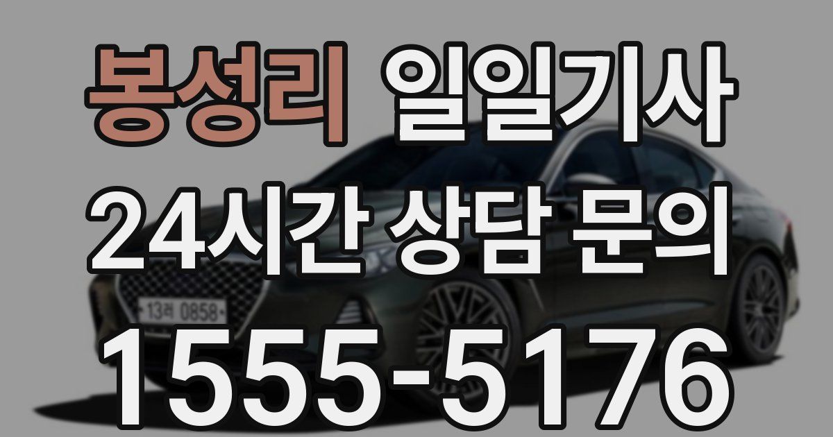 일일대리기사