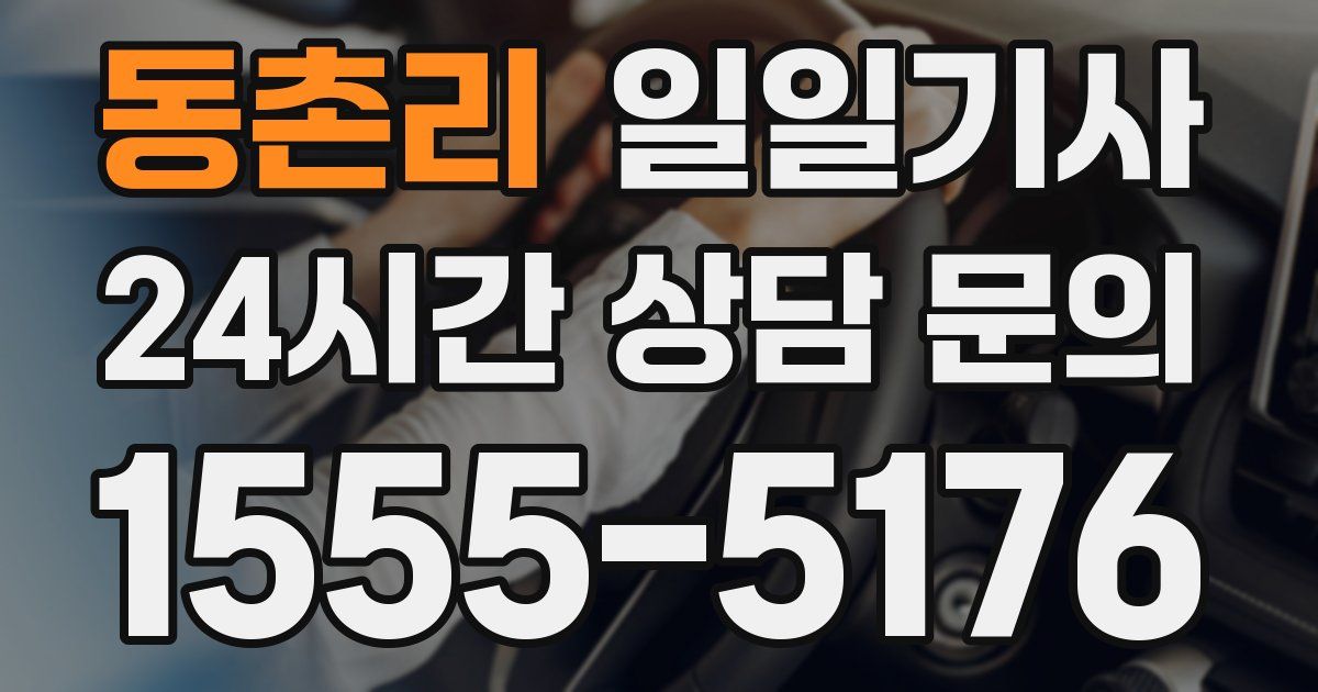 일일대리기사