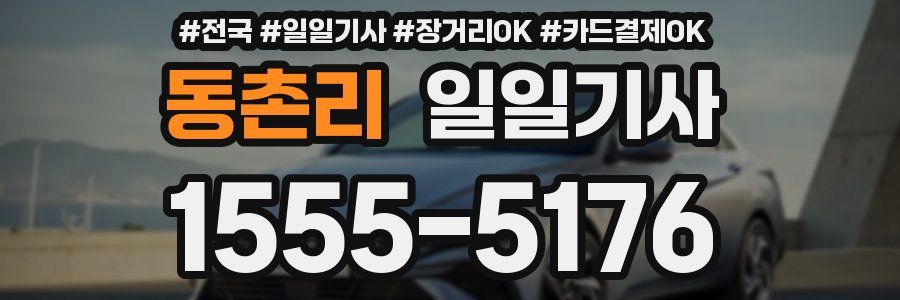 동촌리 일일기사