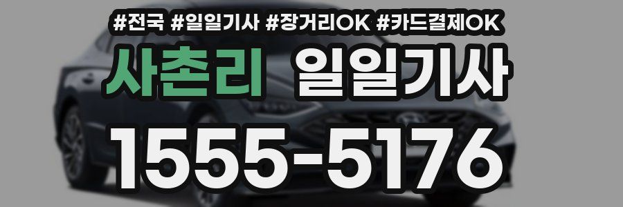 사촌리 일일기사