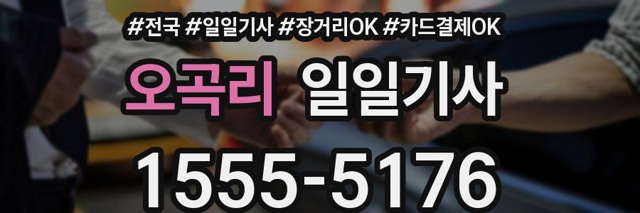 오곡리 일일기사