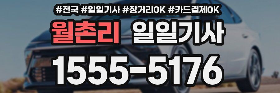 월촌리 일일기사