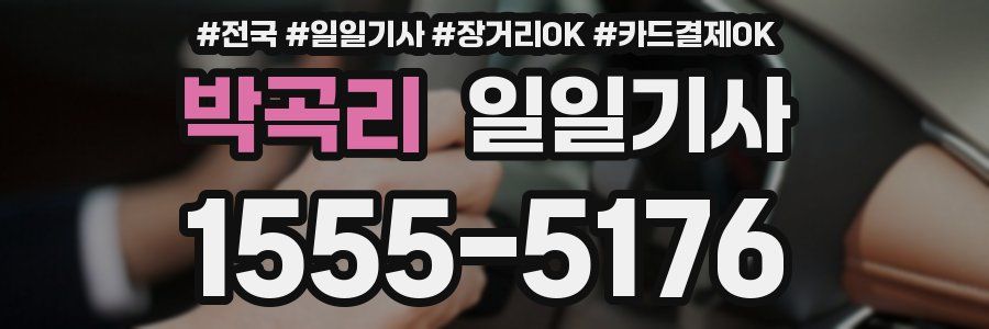 박곡리 일일기사