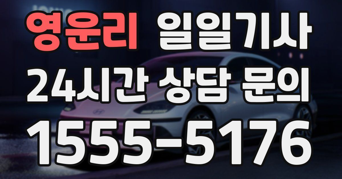 일일대리기사