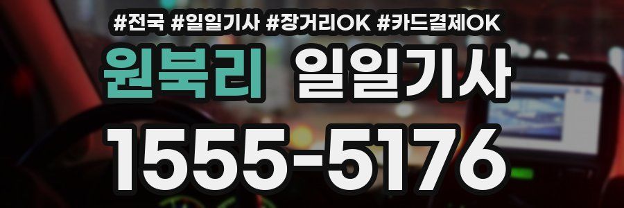 원북리 일일기사