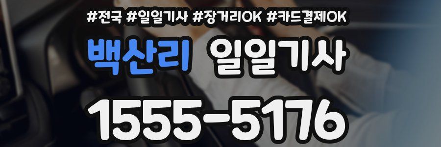 백산리 일일기사