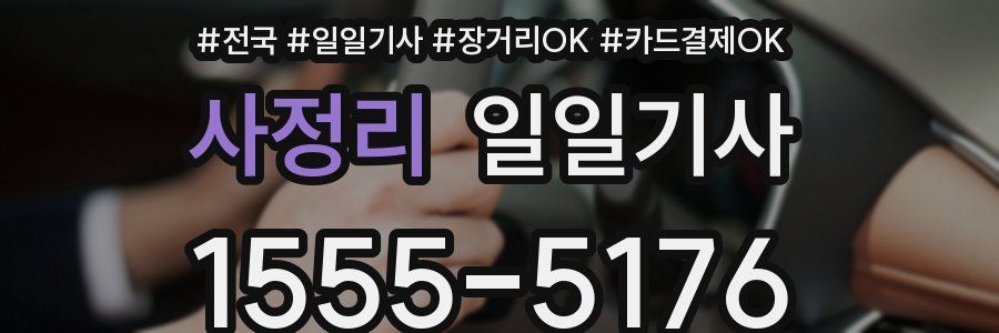 사정리 일일기사