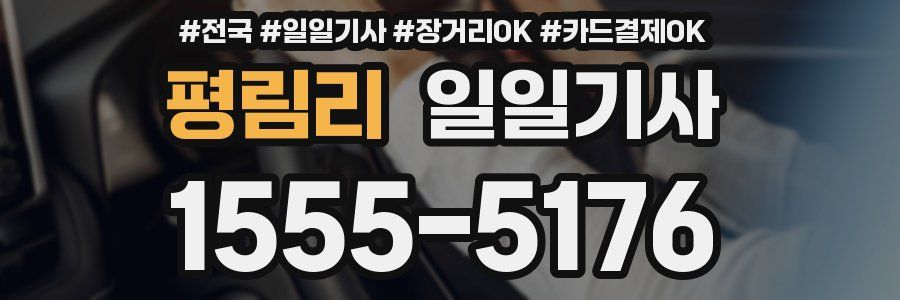 평림리 일일기사