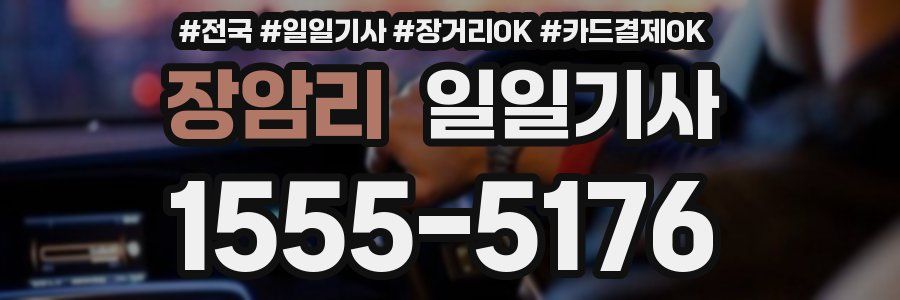 장암리 일일기사