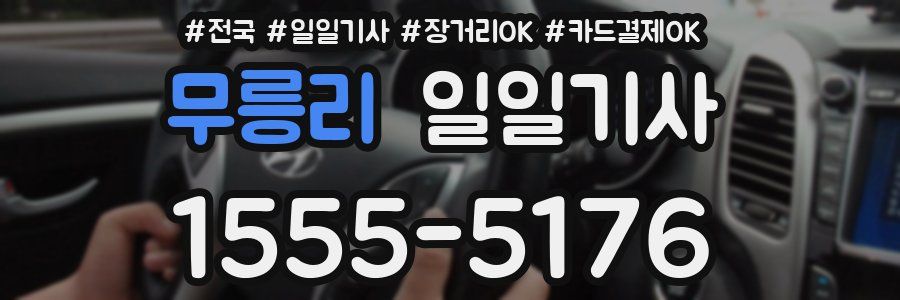 무릉리 일일기사