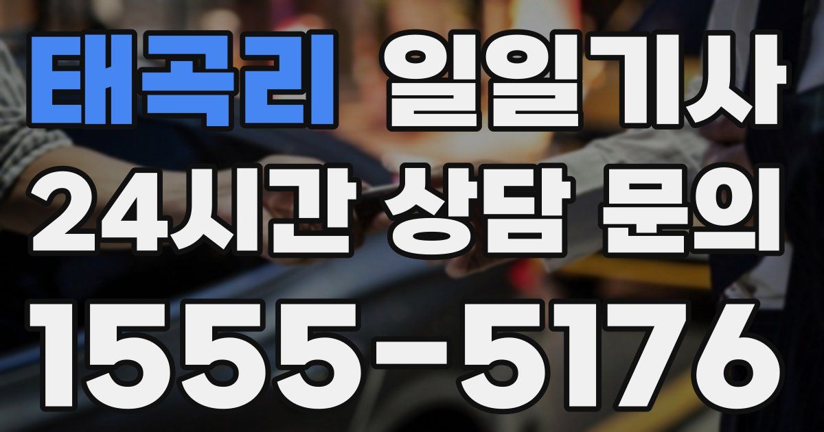 일일대리기사