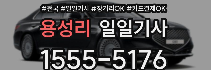용성리 일일기사