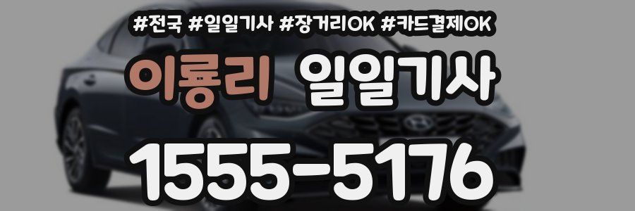 이룡리 일일기사