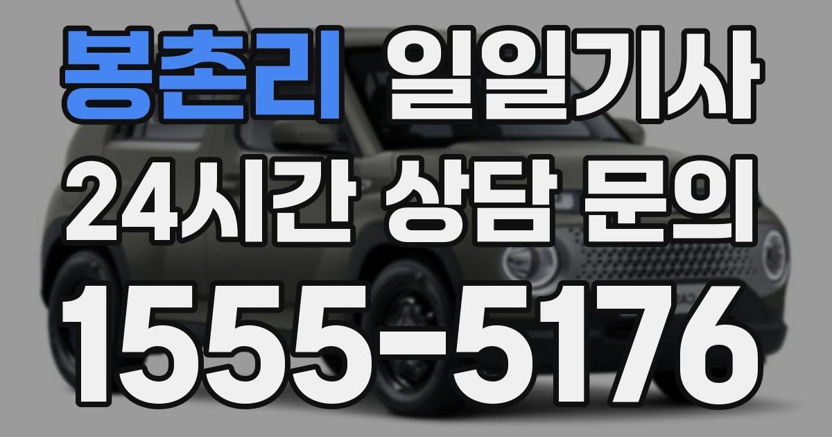 일일대리기사