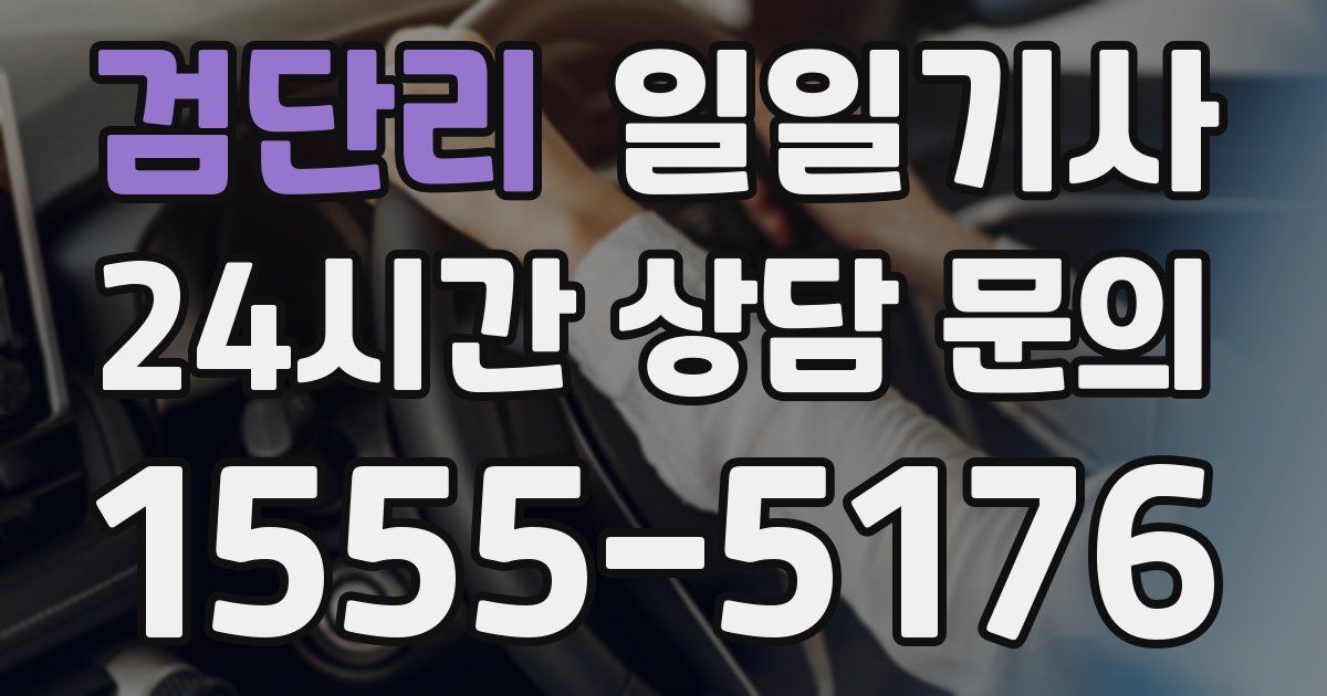일일대리기사