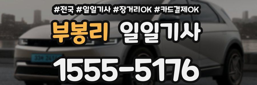 부봉리 일일기사