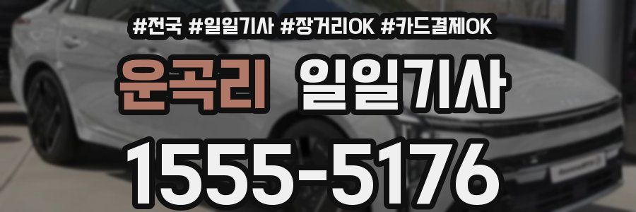 운곡리 일일기사