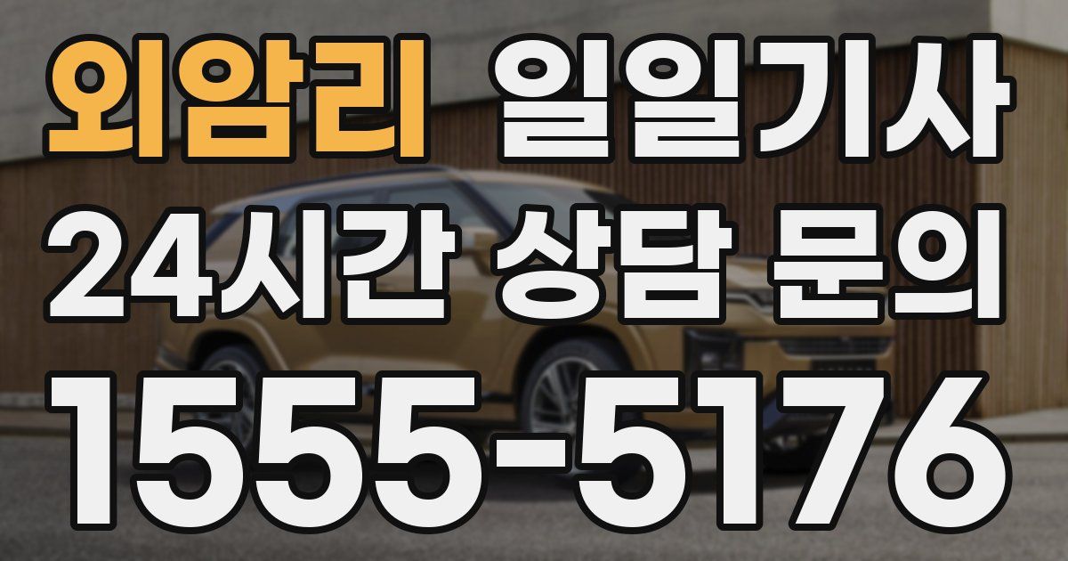 일일대리기사